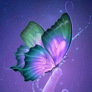 Meet your Posher, Sandy